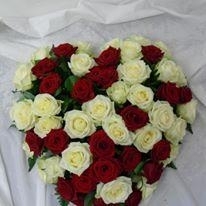 Red and white rose heart