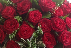 Posy of red roses