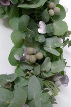 Christmas Silvers Eucalyptus Door Wreath